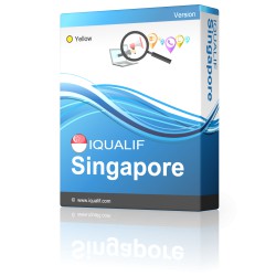IQUALIF シンガポール イエロー、プロフェッショナル、ビジネス