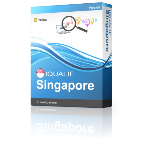 IQUALIF Singapore Gul, Professionelle, Forretning