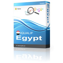 IQUALIF Egypte Yellow, professionnels